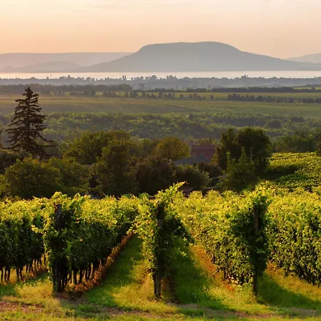 In 31229 Semesterbostad Balatonmáriafürdő