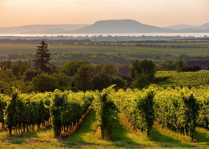 In 31229 Semesterbostad Balatonmáriafürdő